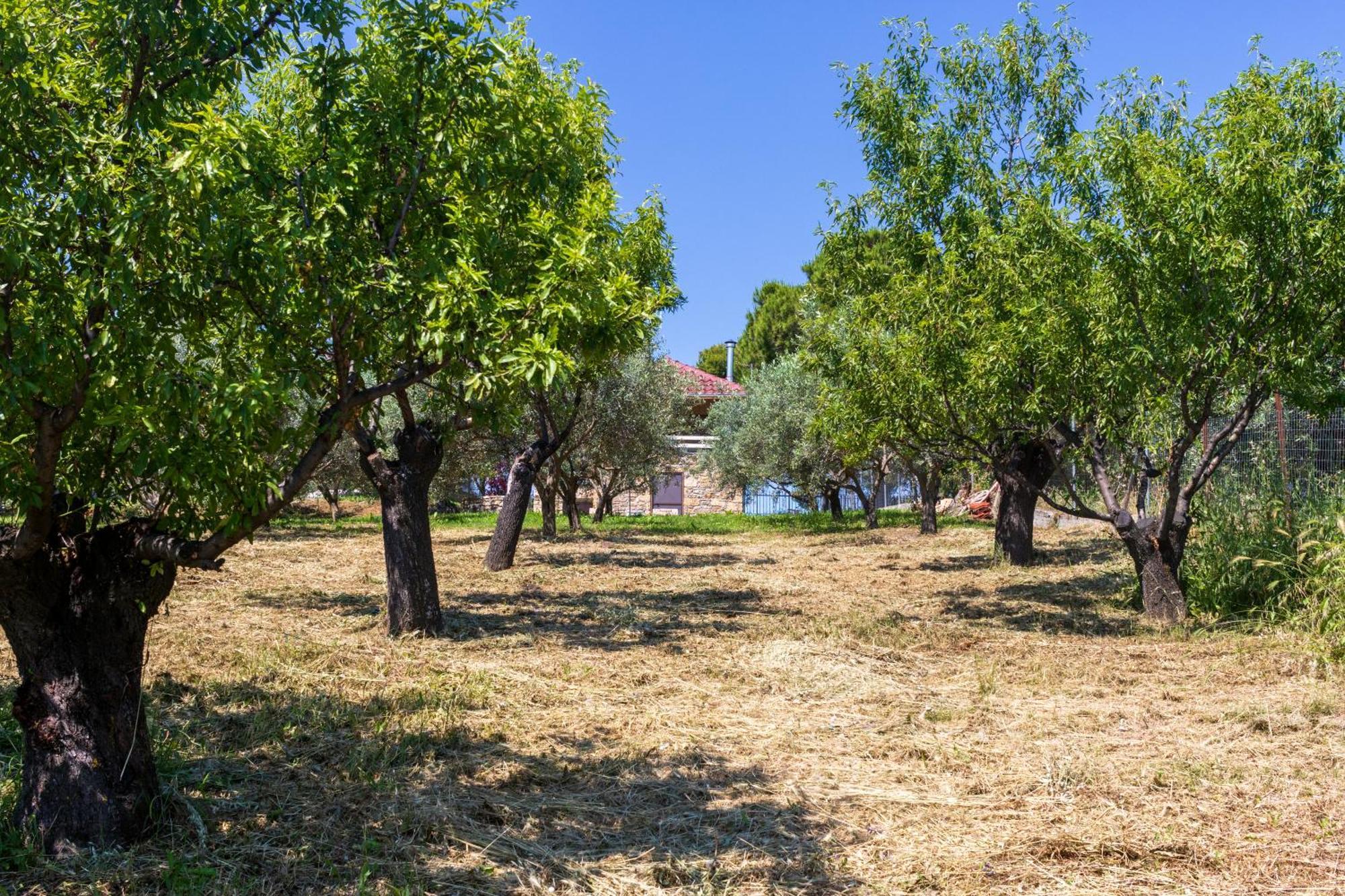 Managraia Villa Makrygialos